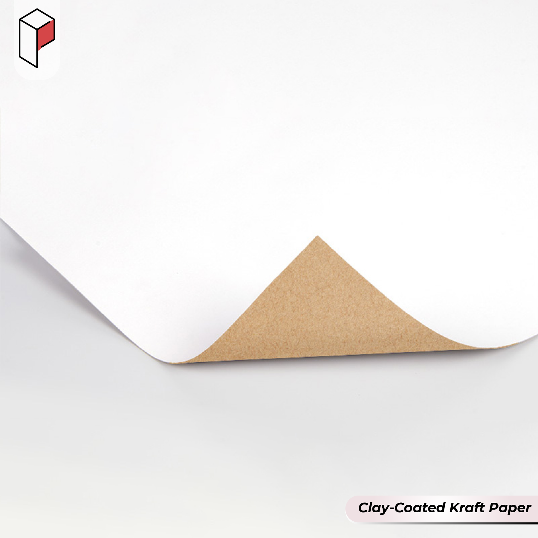 clay coated Kraft paper (5)